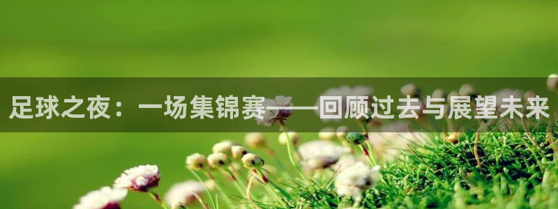 足球之夜：一场集锦赛——回顾过去与展望未来