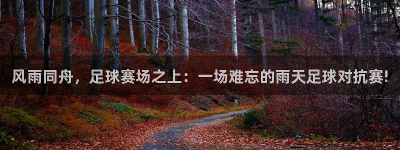风雨同舟，足球赛场之上：一场难忘的雨天足球对抗赛!