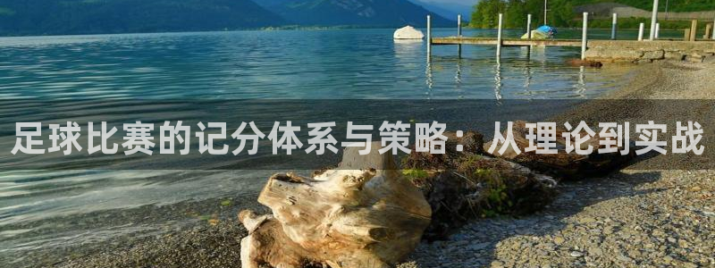  足球比赛的记分体系与策略：从理论到实战