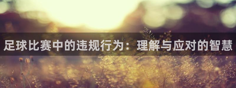  足球比赛中的违规行为：理解与应对的智慧