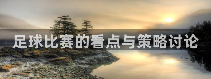  足球比赛的看点与策略讨论