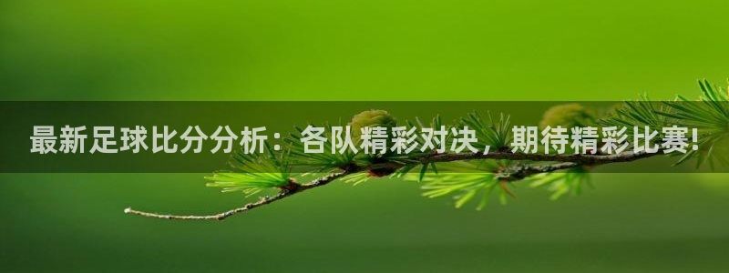 最新足球比分分析：各队精彩对决，期待精彩比赛!