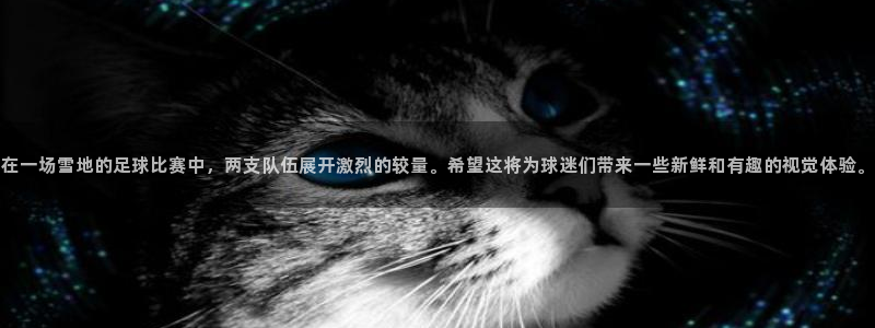 在一场雪地的足球比赛中，两支队伍展开