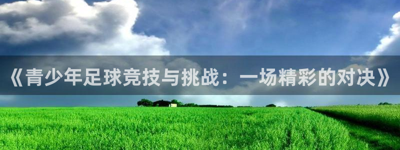 《青少年足球竞技与挑战：一场精彩的对