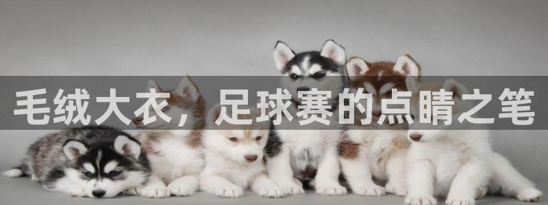 毛绒大衣，足球赛的点睛之笔