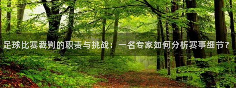 足球比赛裁判的职责与挑战：一名专家如