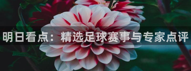 明日看点：精选足球赛事与专家点评
