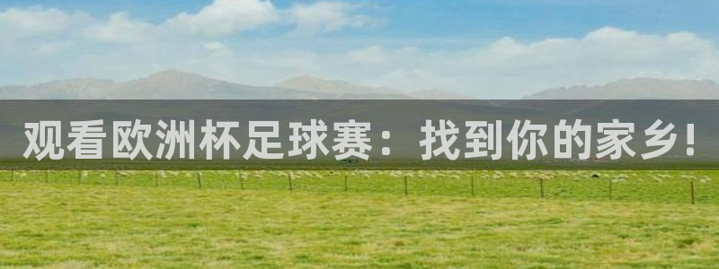  观看欧洲杯足球赛：找到你的家乡!