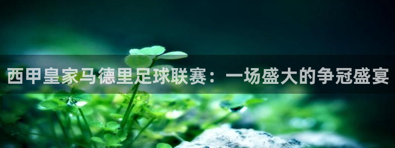 西甲皇家马德里足球联赛：一场盛大的争