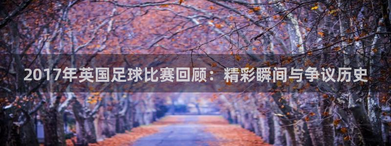  2017年英国足球比赛回顾：精彩瞬间与争议历史