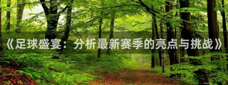  《足球盛宴：分析最新赛季的亮点与挑战》