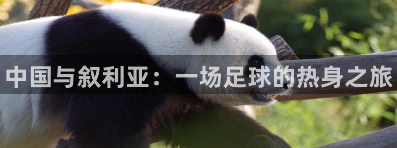  中国与叙利亚：一场足球的热身之旅
