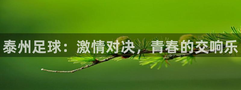 泰州足球：激情对决，青春的交响乐