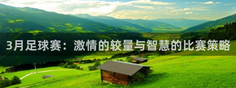  3月足球赛：激情的较量与智慧的比赛策略