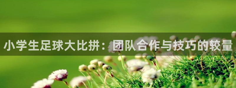  小学生足球大比拼：团队合作与技巧的较量