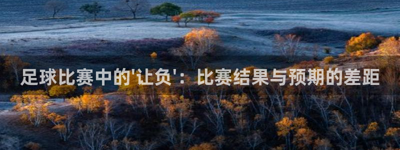  足球比赛中的\'让负\'：比赛结果与预期的差距