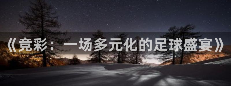 《竞彩：一场多元化的足球盛宴》
