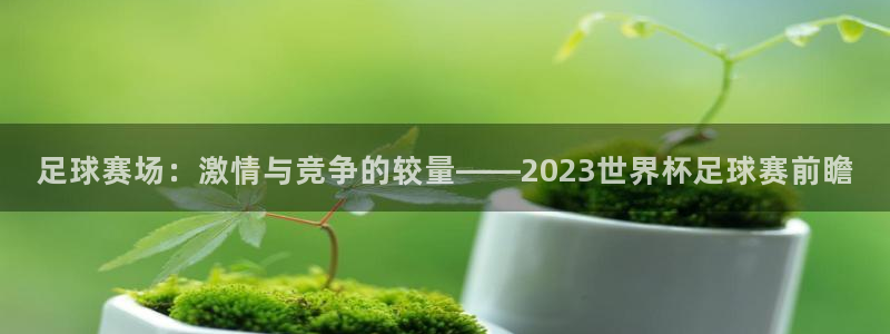 足球赛场：激情与竞争的较量——202