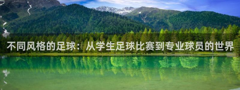  不同风格的足球：从学生足球比赛到专业球员的世界