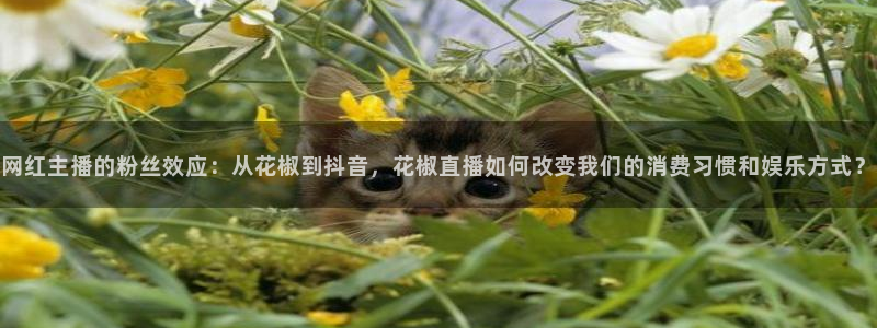 雨燕体育在线直播nba：网红主播的粉丝效应：从花椒到抖音，花椒直播如何改变我们的消费习惯和娱乐方式？