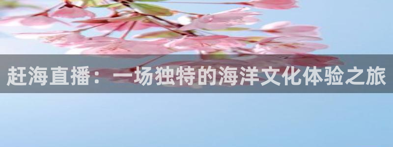雨燕360体育免费直播nba在线观看：赶海直播：一场独特的海洋文化体验之旅