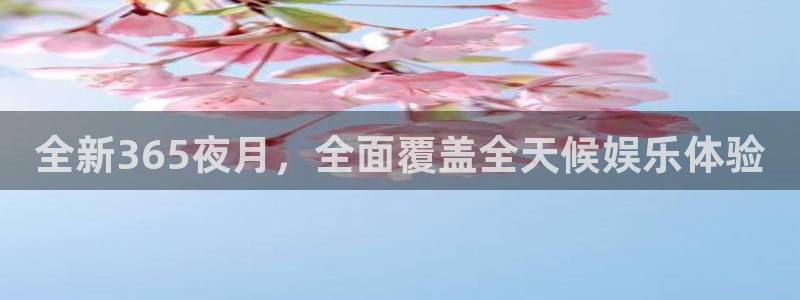 nba雨燕直播体育：全新365夜月，全面覆盖全天候娱乐体验
