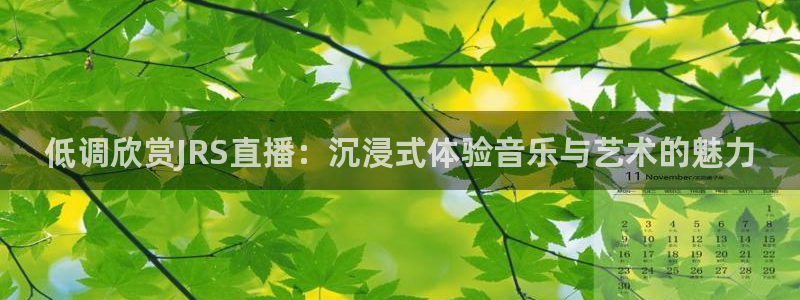雨燕体育直播吧：低调欣赏JRS直播：沉浸式体验音乐与艺术的魅力