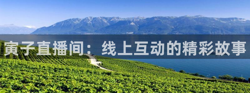 360足球直播雨燕直播：寅子直播间：线上互动的精彩故事