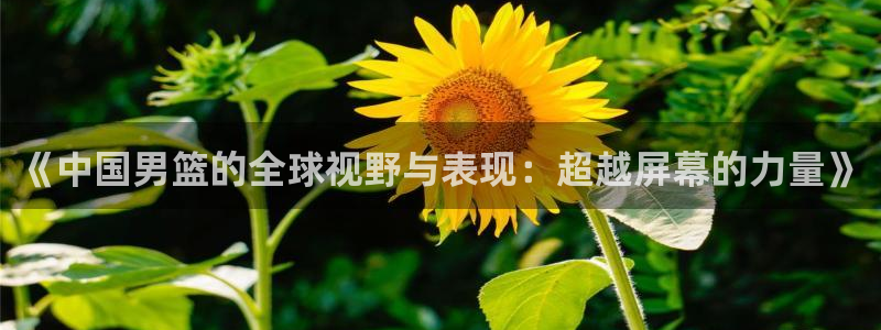 nba直播雨燕在线观看：《中国男篮的全球视野与表现：超越屏幕的力量》