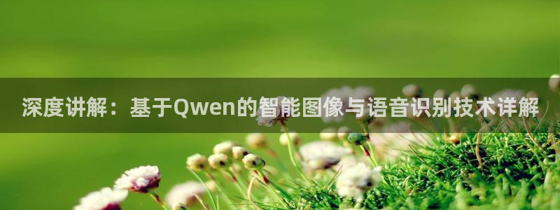 雨燕直播nba体育：深度讲解：基于Qwen的智能图像与语音识别技术详解