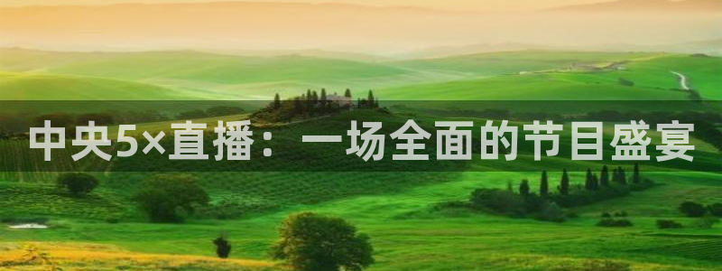 雨燕360直播足球：中央5×直播：一场全面的节目盛宴