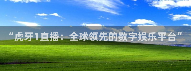 雨燕360体育直播2026最新平台.全网通.org：“虎牙1直播：全球领先的数字娱乐平台”