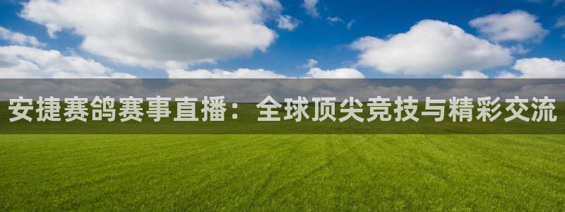 雨燕体育nba高清直播：安捷赛鸽赛事直播：全球顶尖竞技与精彩交流