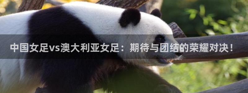 足球直播360雨燕直播：中国女足vs澳大利亚女足：期待与团结的荣耀对决！