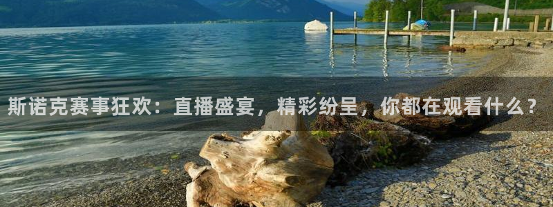 nba直播雨燕直播：斯诺克赛事狂欢：直播盛宴，精彩纷呈，你都在观看什么？