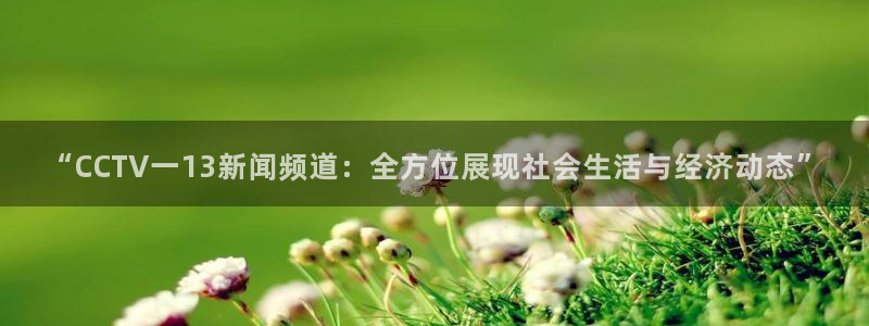 雨燕体育直播足球直播：“CCTV一13新闻频道：全方位展现社会生活与经济动态”